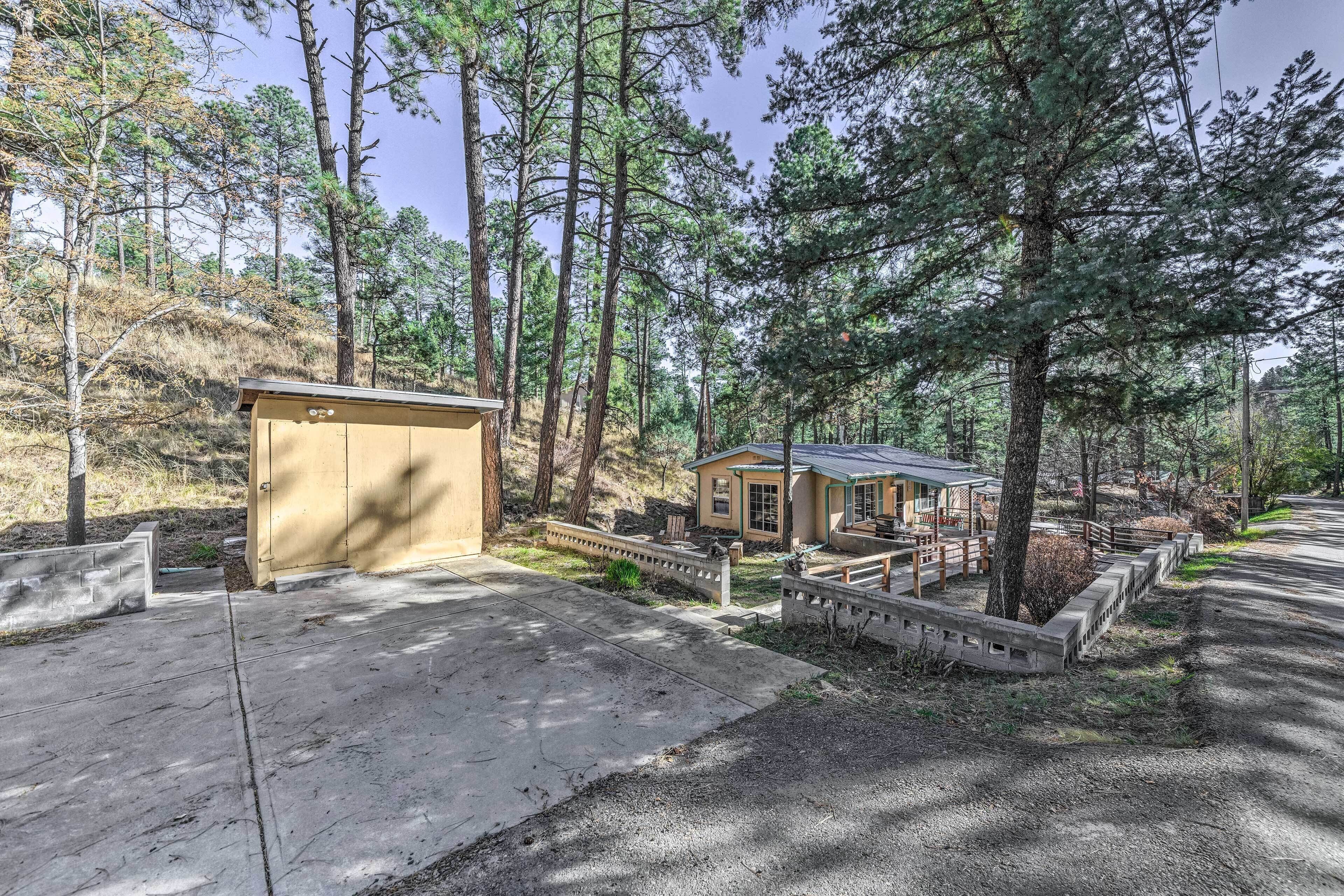 A secluded cabin with a concrete deck, surrounded by tall pine trees and a clear sky.