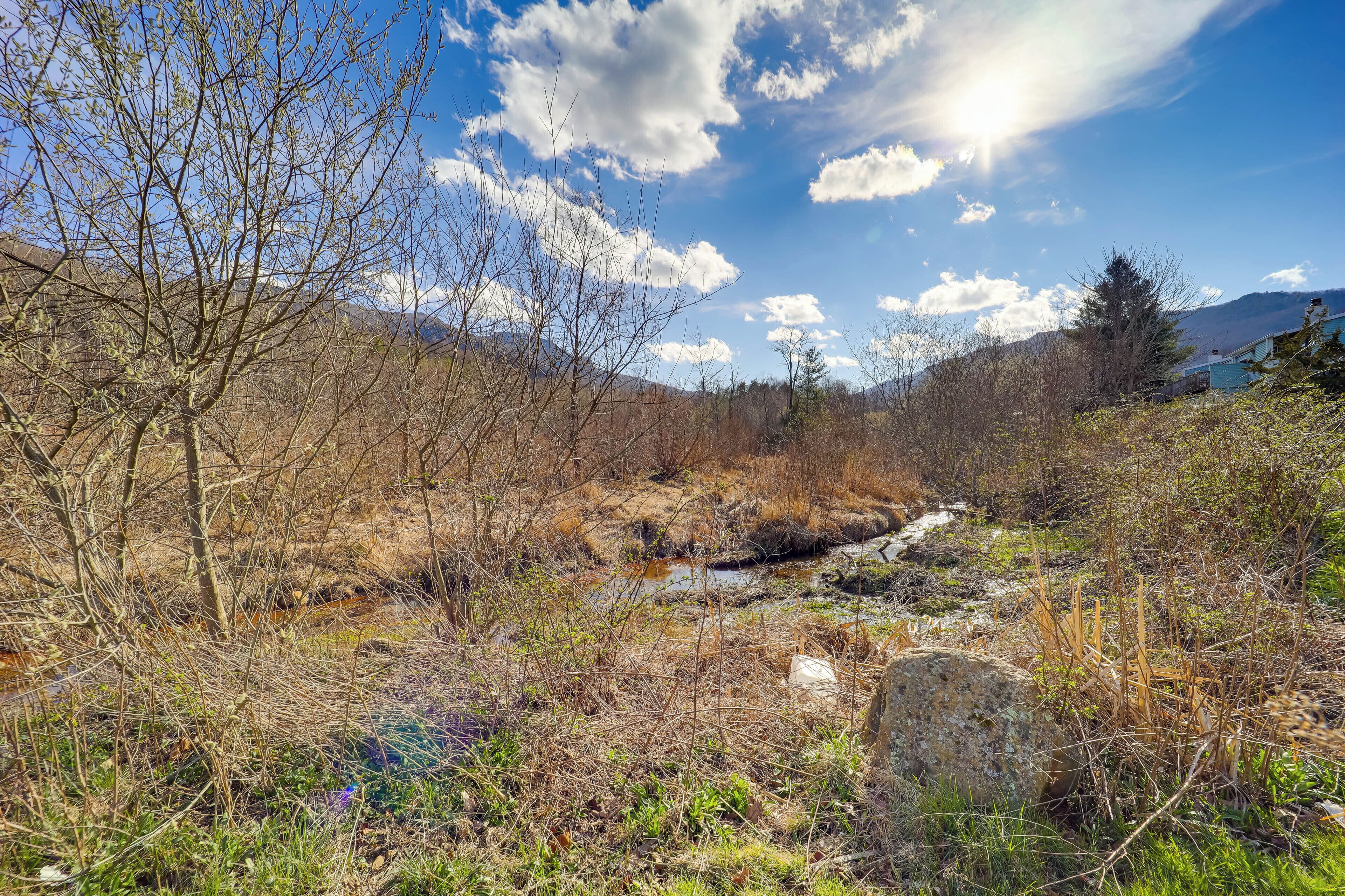 Paisaje natural con un arroyo, árboles y montañas al fondo.