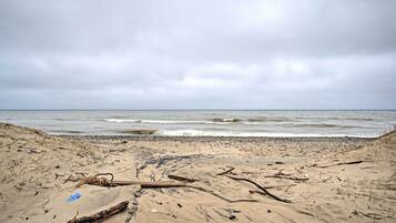 A beach with driftwood and debris on the sand, and the ocean in the background.
