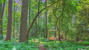 A forest with a wooden swing set and a path. - Rustic Hendersonville Farm Studio w/ Private Deck (Hendersonville)