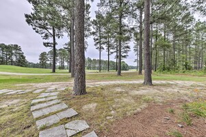 A stone pathway leading through a forested area with tall pine trees and a grassy field.