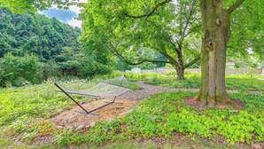 A hammock under a large tree surrounded by lush greenery. - Sugar Shores ~ 3 Mi to Indiana Dunes Nat'l Park (Chesterton)
