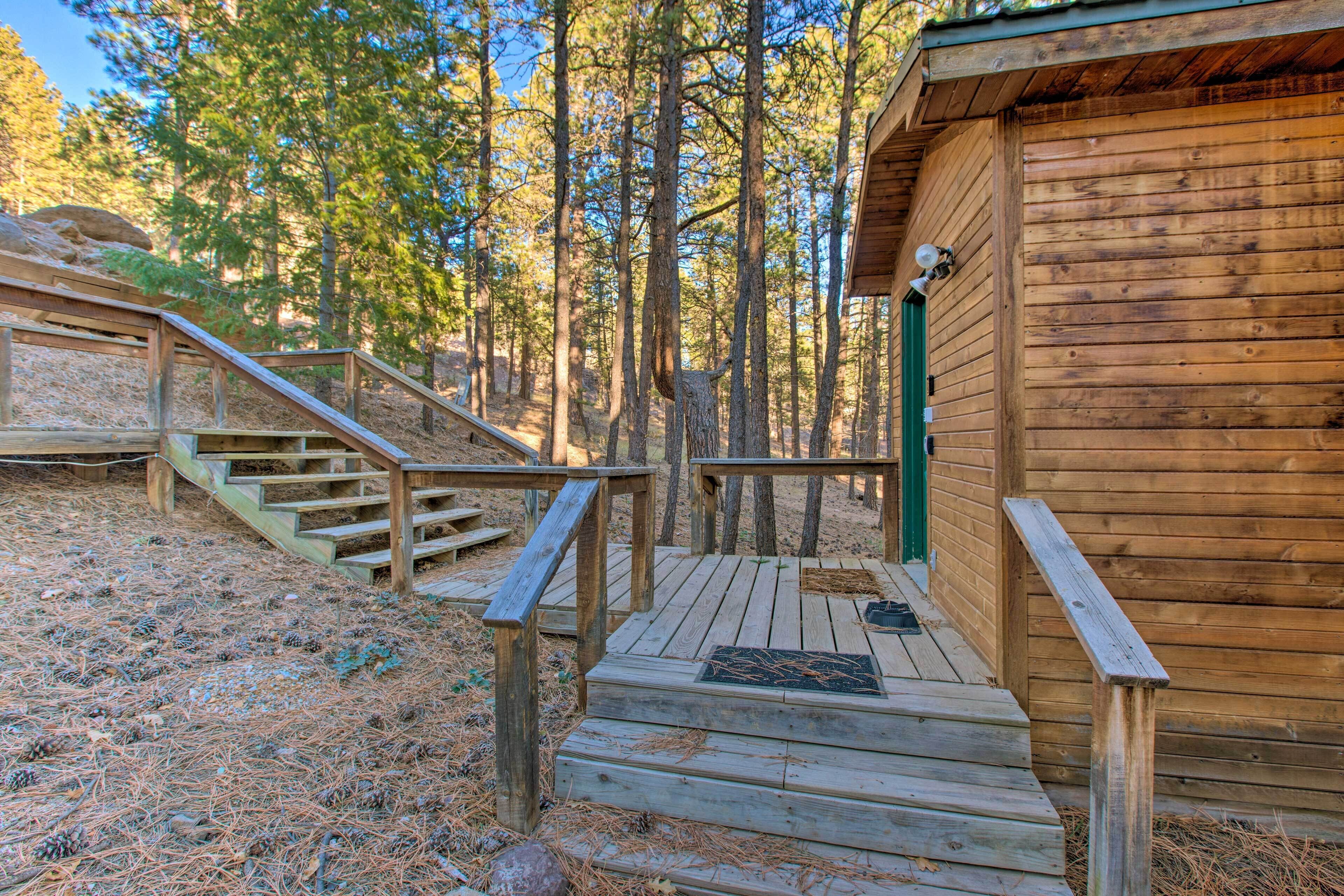 Eine Holzhütte mit einer Holztreppe, die zu einer Tür führt, umgeben von einem Wald.