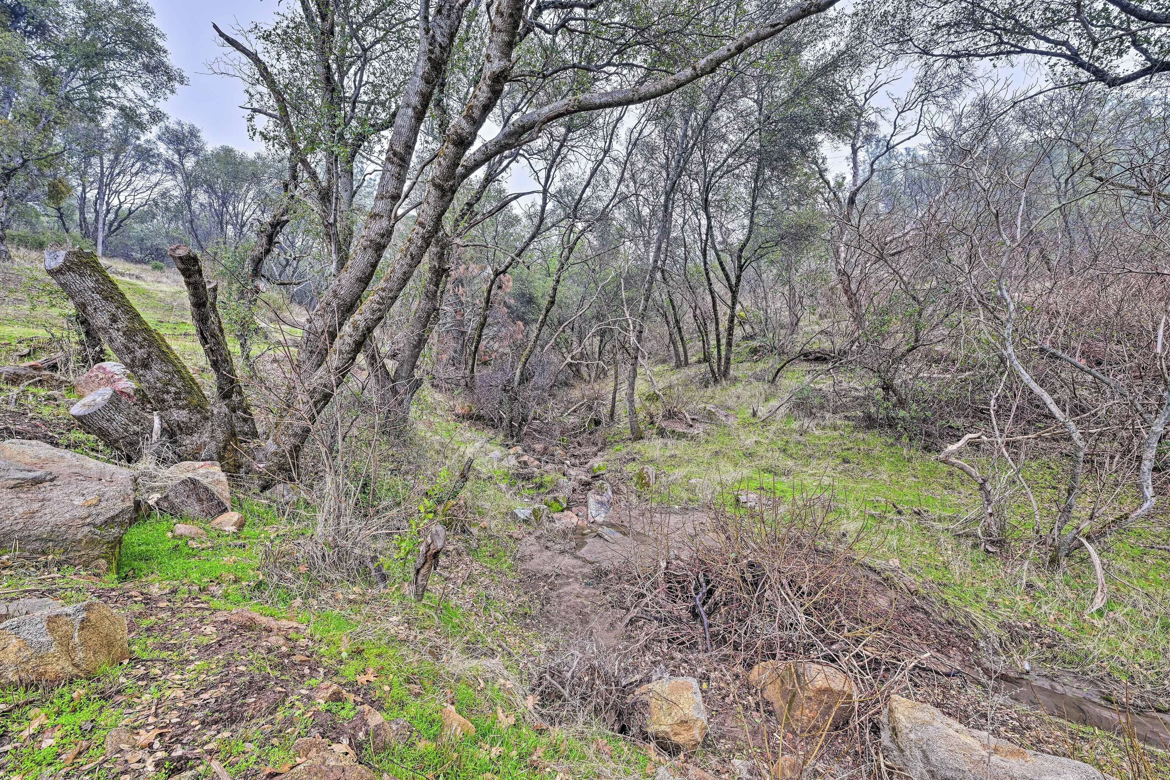 A natural landscape with trees, rocks, and a grassy area.