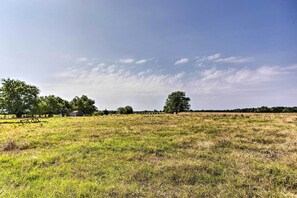 ハウス (3 Bedrooms) | 内装