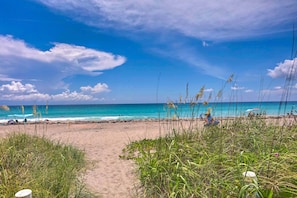 Serviettes de plage