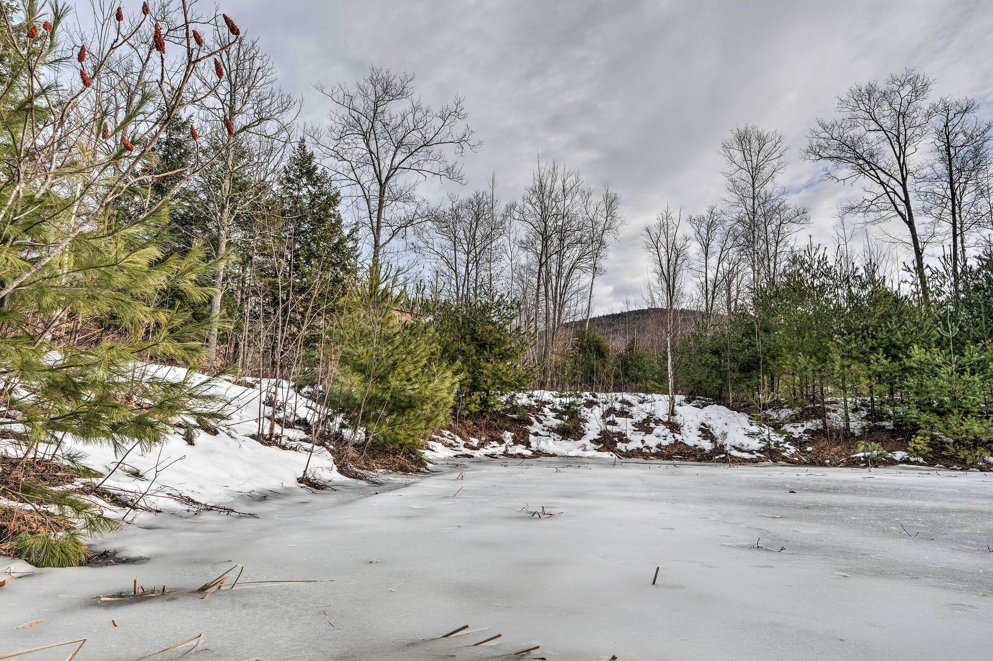 A frozen lake surrounded by trees and snow-covered ground.