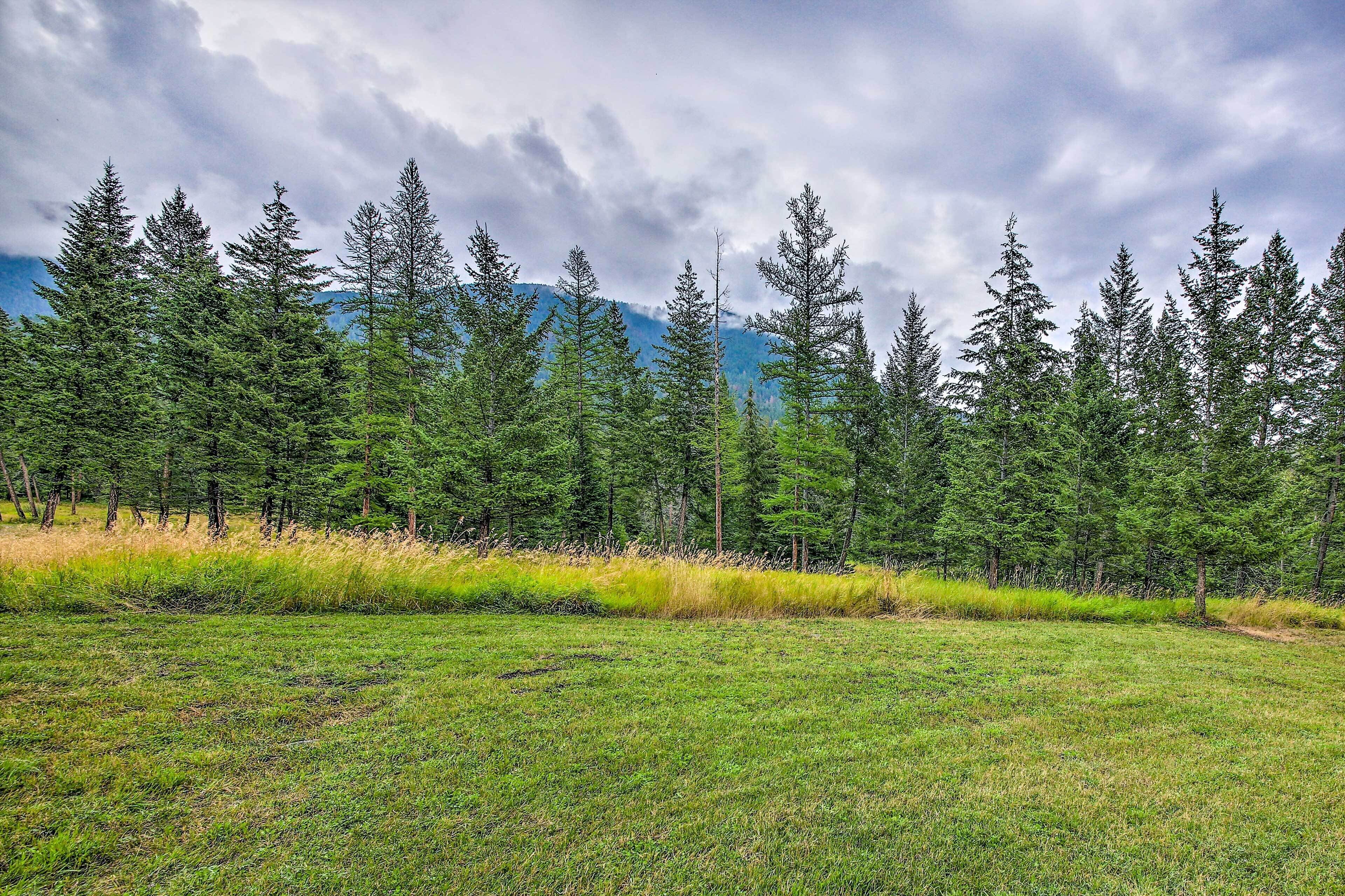 A forested area with a grassy field and a mountain in the background.