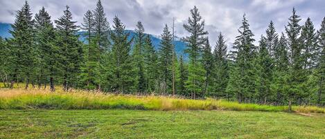 A forested area with a grassy field and a mountain in the background.