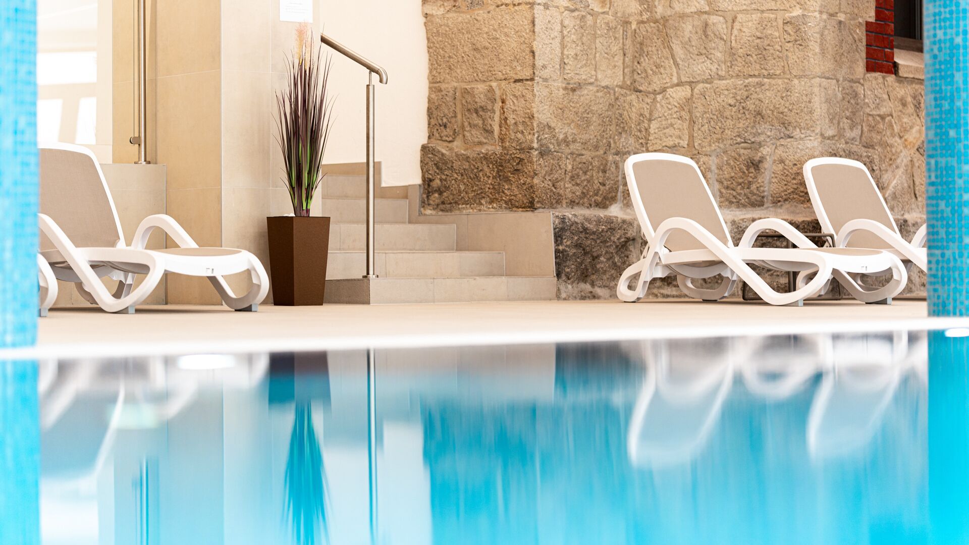 A swimming pool with two lounge chairs and a potted plant.