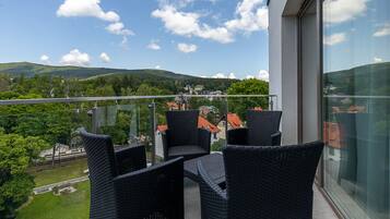 Family Apartment | Balcony view
