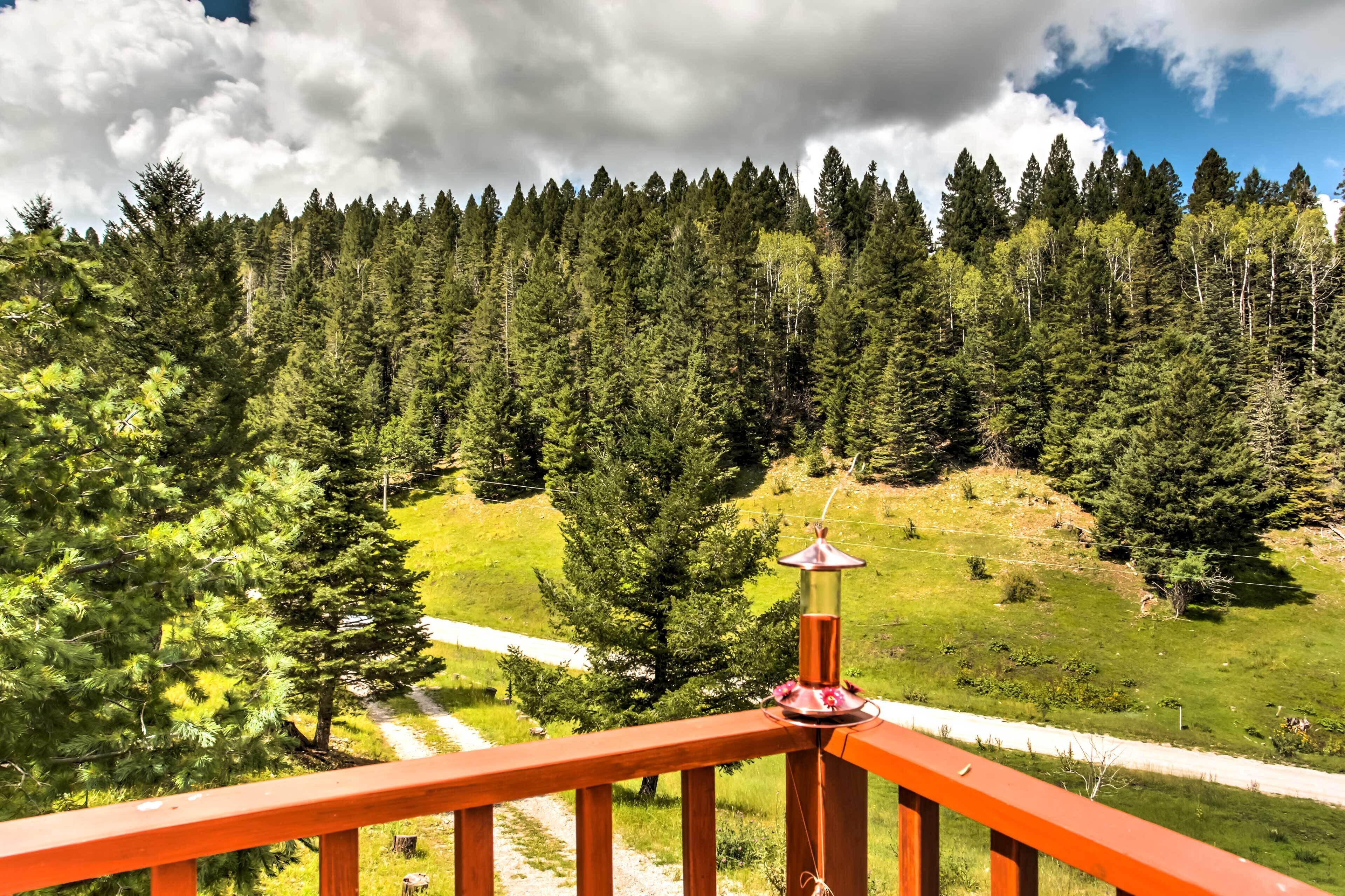 Rustic Cloudcroft Cabin on 10 Acres W/grill & Deck