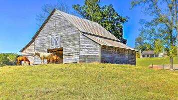 House (1 Bedroom) | Interior