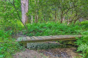 A wooden bridge over a stream in a forested area. - Rustic & Authentic Farm Stay by Dupont Forest! (Hendersonville)