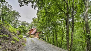 A rustic log cabin with a gravel driveway leading to it, surrounded by dense forest.