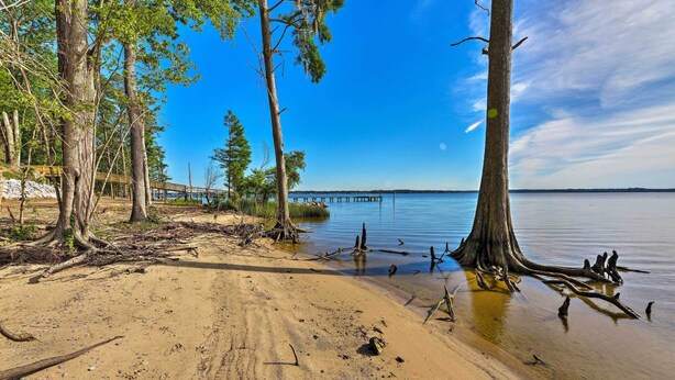 A sandy beach with trees and a wooden pier extending into calm water. - Bayfront Blounts Creek Home: Private Beach + Dock! (Blounts Creek)