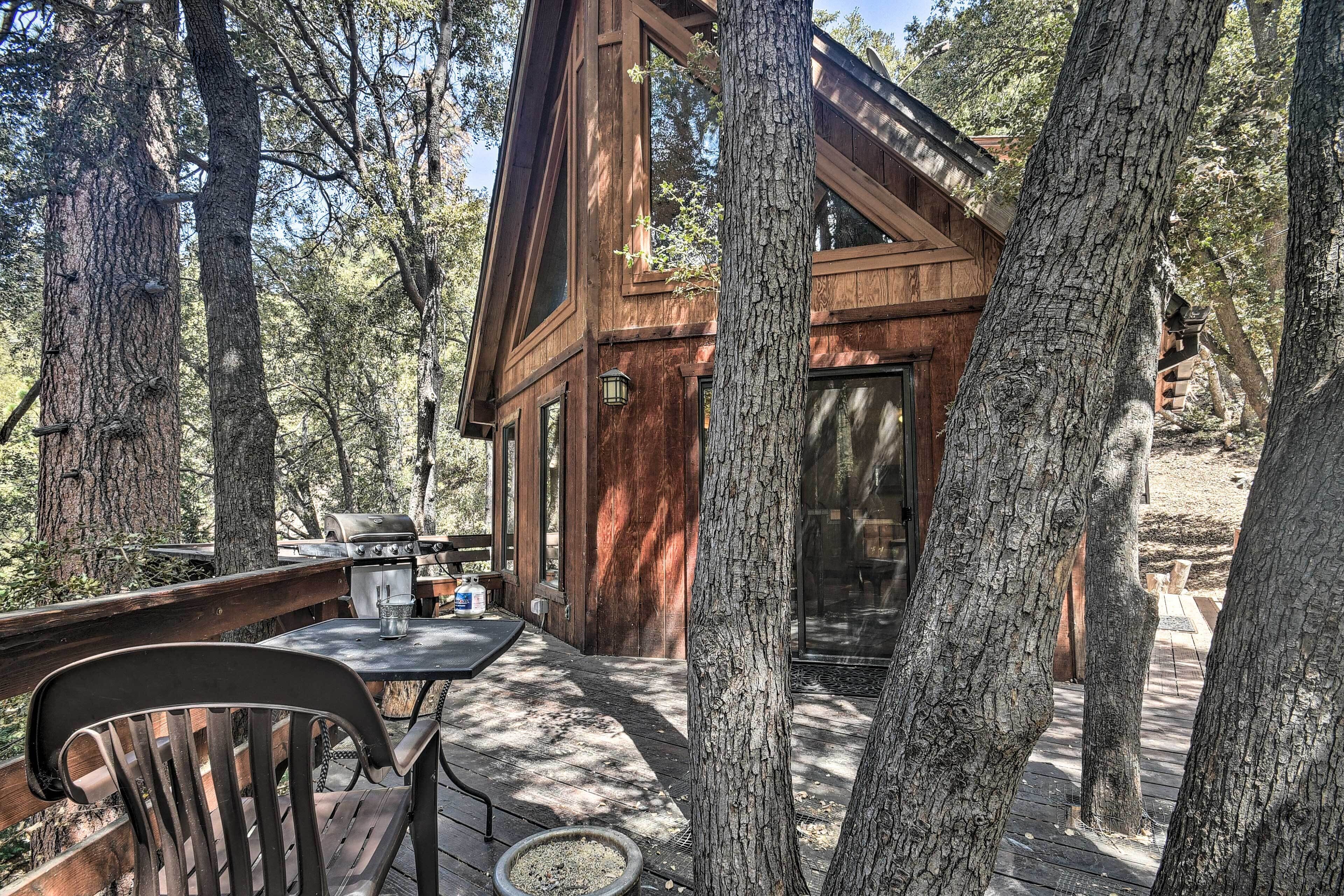 Updated 'tree House' Pine Mtn Club Cabin by Trails