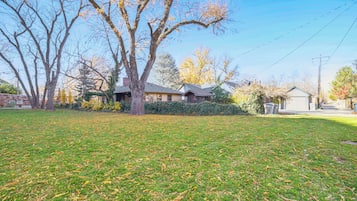 House (1 Bedroom) | Interior