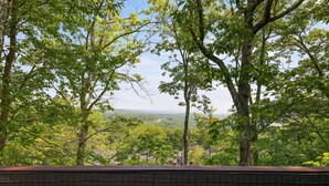 A view from a wooden deck overlooking a lush, green landscape with trees and distant buildings. - Cozy Camelback, Pocono Retreat w/ Mountain Views! (Tannersville)