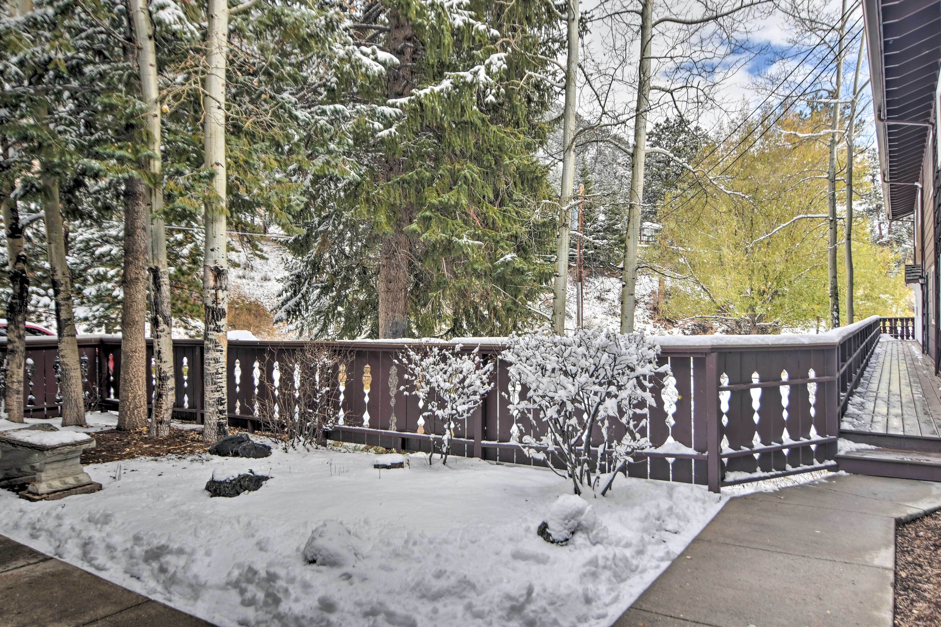 Un jardín cubierto de nieve con una valla de madera, árboles y un sendero pavimentado.