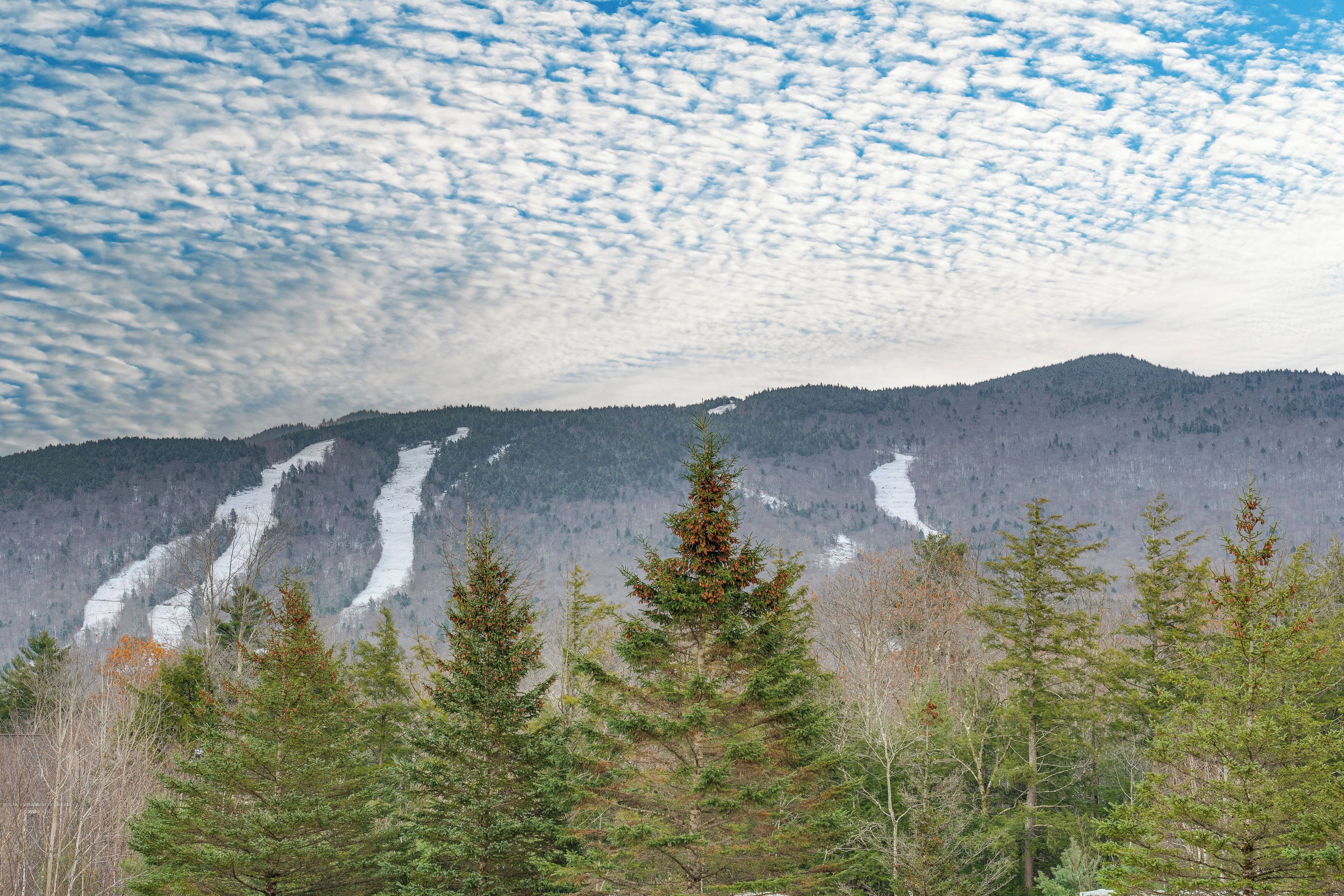 A mountainous landscape with a clear sky and a forested foreground.