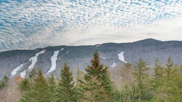 A mountainous landscape with a clear sky and a forested foreground.