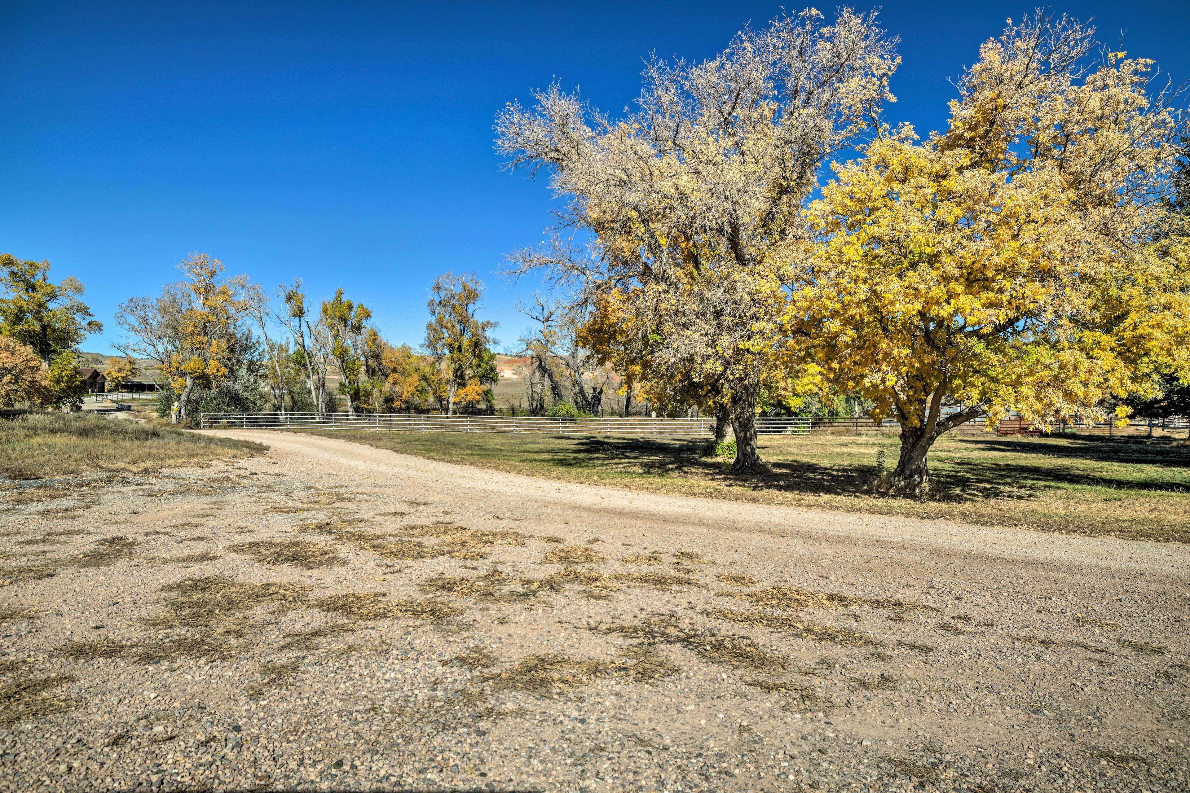 A gravel path leading through a park with trees displaying autumn foliage.