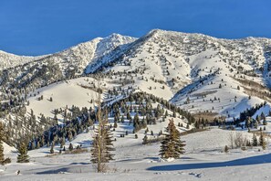 Un paysage de montagne enneigé, avec des pistes de ski et des arbres.