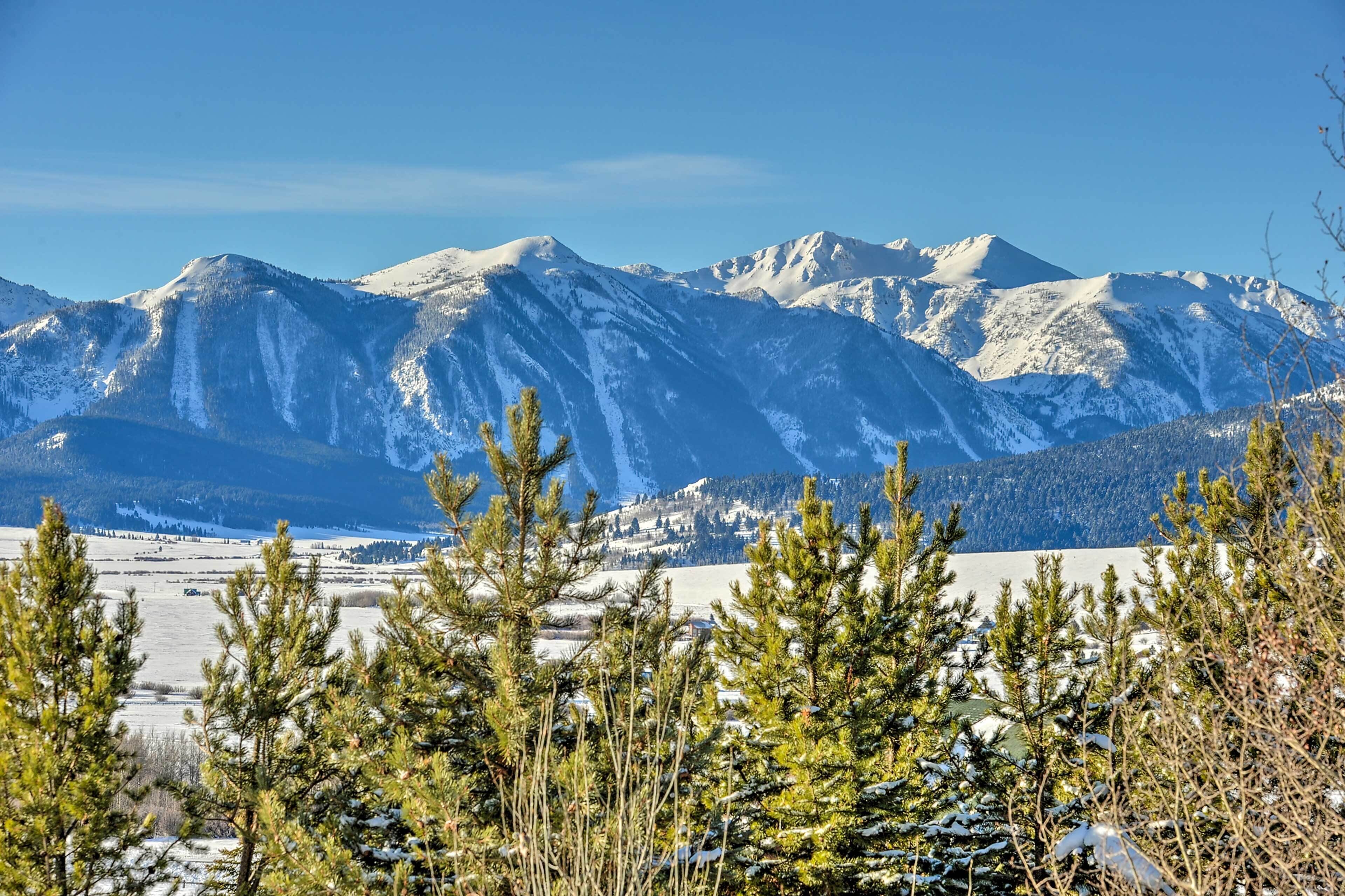 Un paisaje montañoso con picos nevados y un primer plano de árboles de hoja perenne.