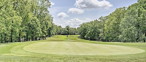 Een golfbaan met een putting green, omgeven door bomen.