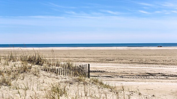 Een zandstrand met een houten omheining en schaarse begroeiing.