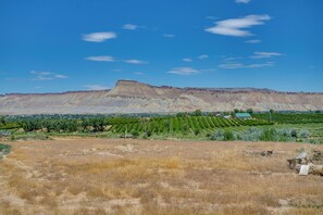 Hus (3 Bedrooms) | Interiør