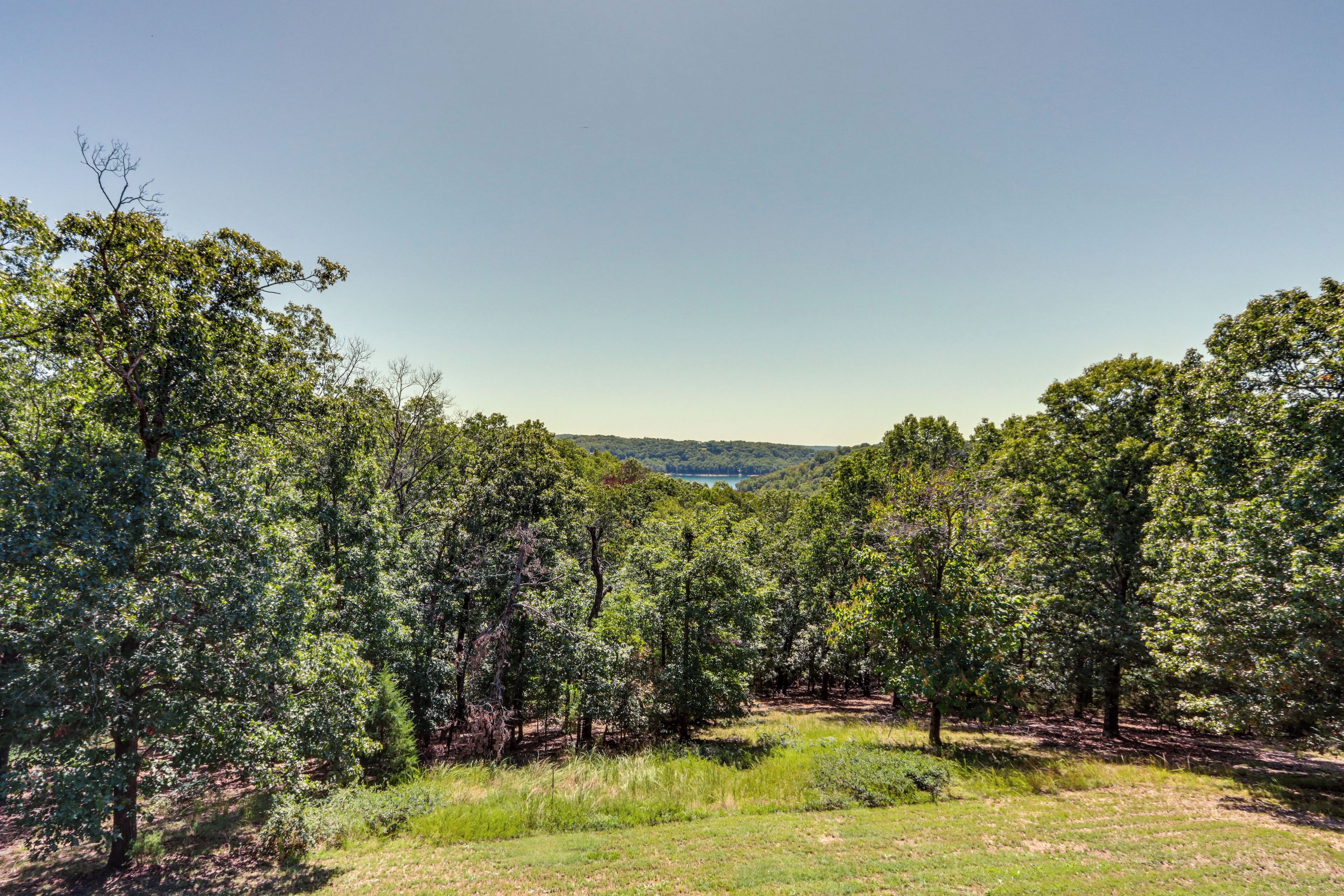 A forested landscape with a clear sky.