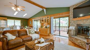 TV, fireplace, books
