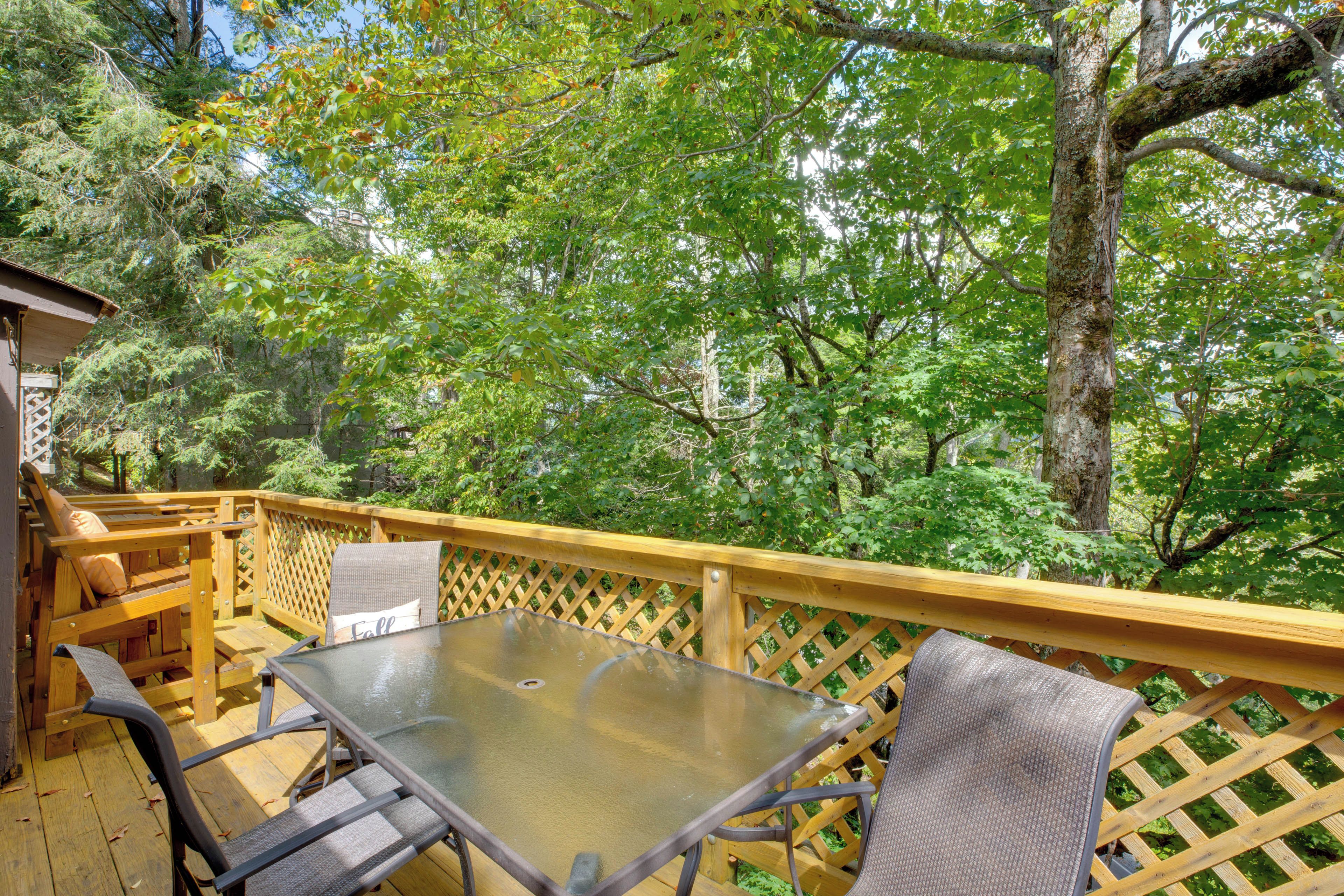 Une terrasse en bois avec une table et des chaises en verre, entourée d’arbres.