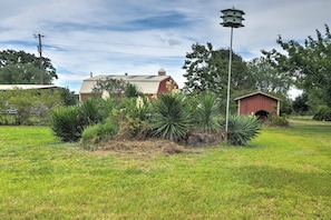 Property grounds - Delightful Carmine Studio on Rocking Horse Farm! (Carmine)
