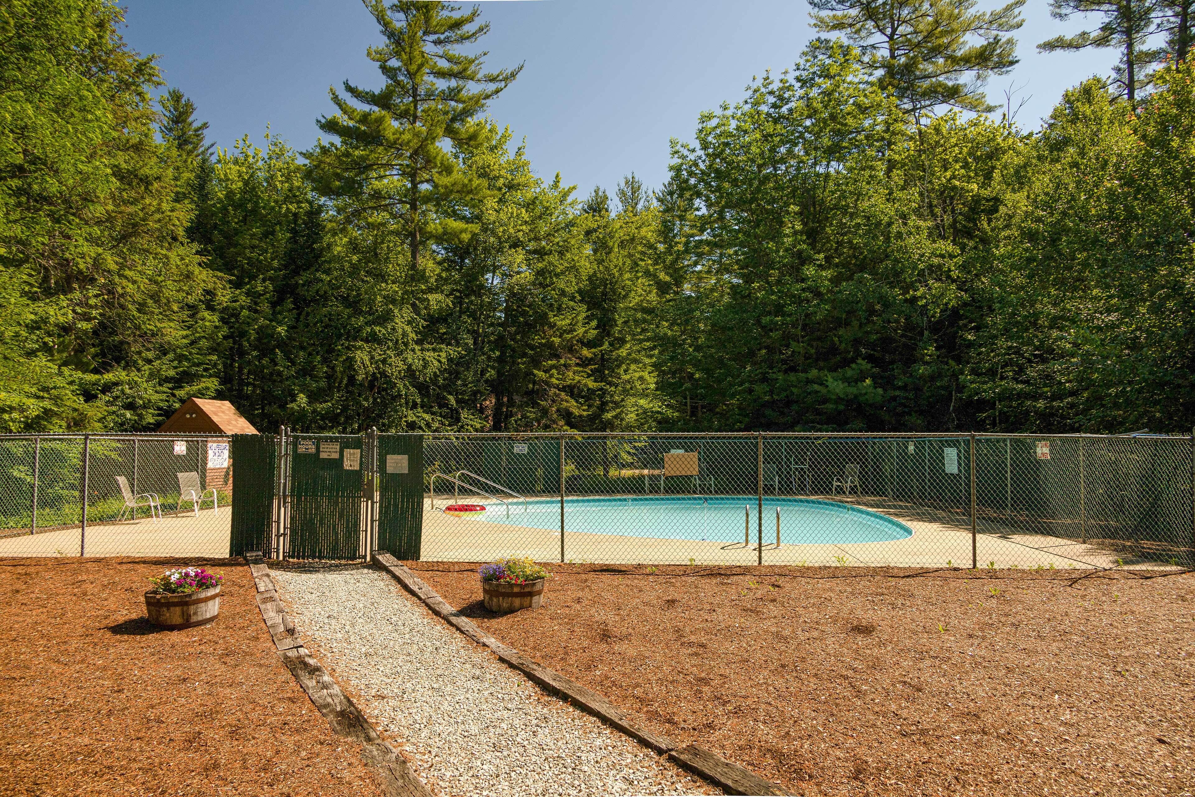Piscina cercada por árvores, com um pequeno edifício e uma área de estar coberta ao fundo.
