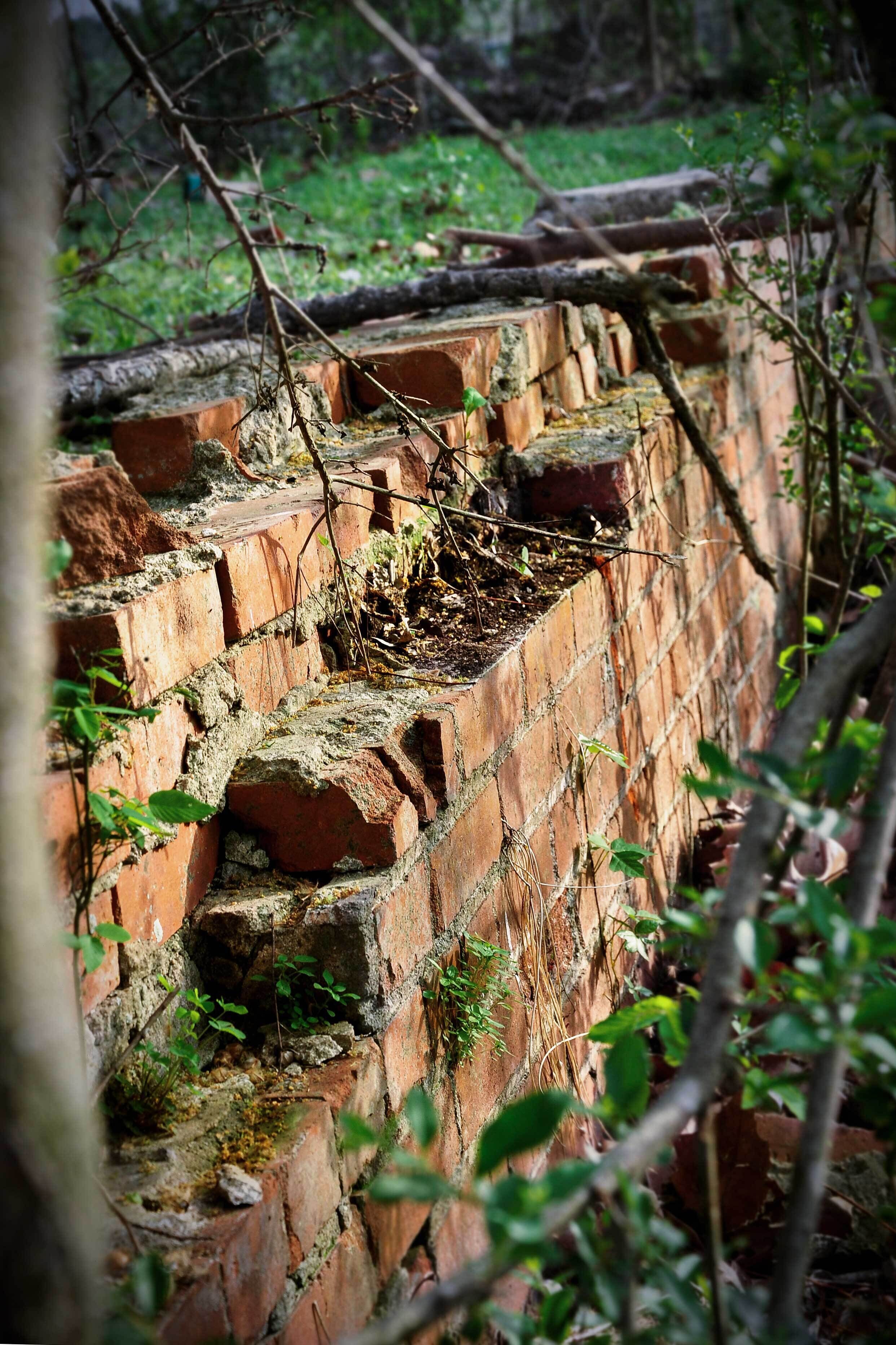 A brick wall with overgrown vegetation and a natural, rustic setting.