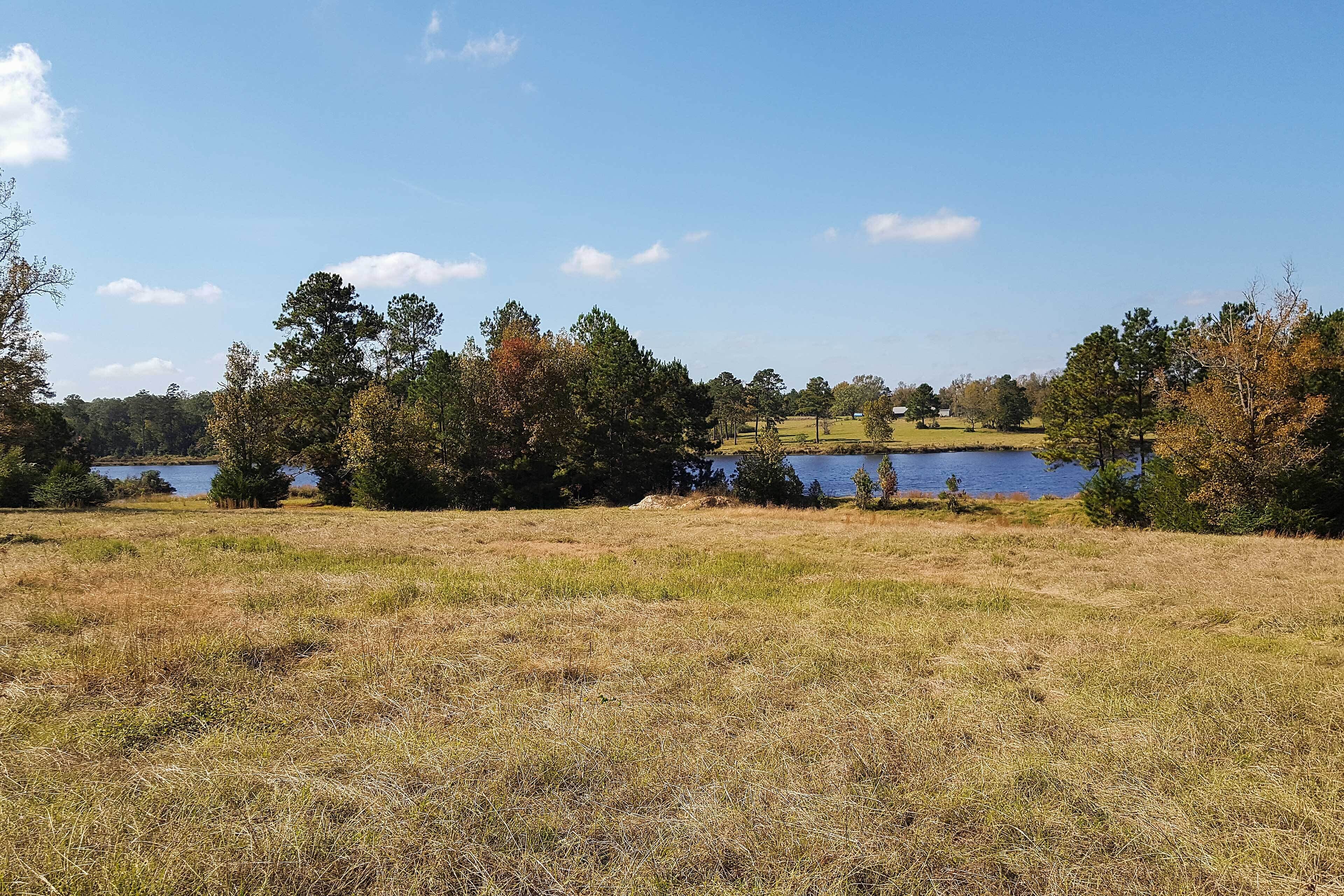A grassy field with a lake and trees in the background.