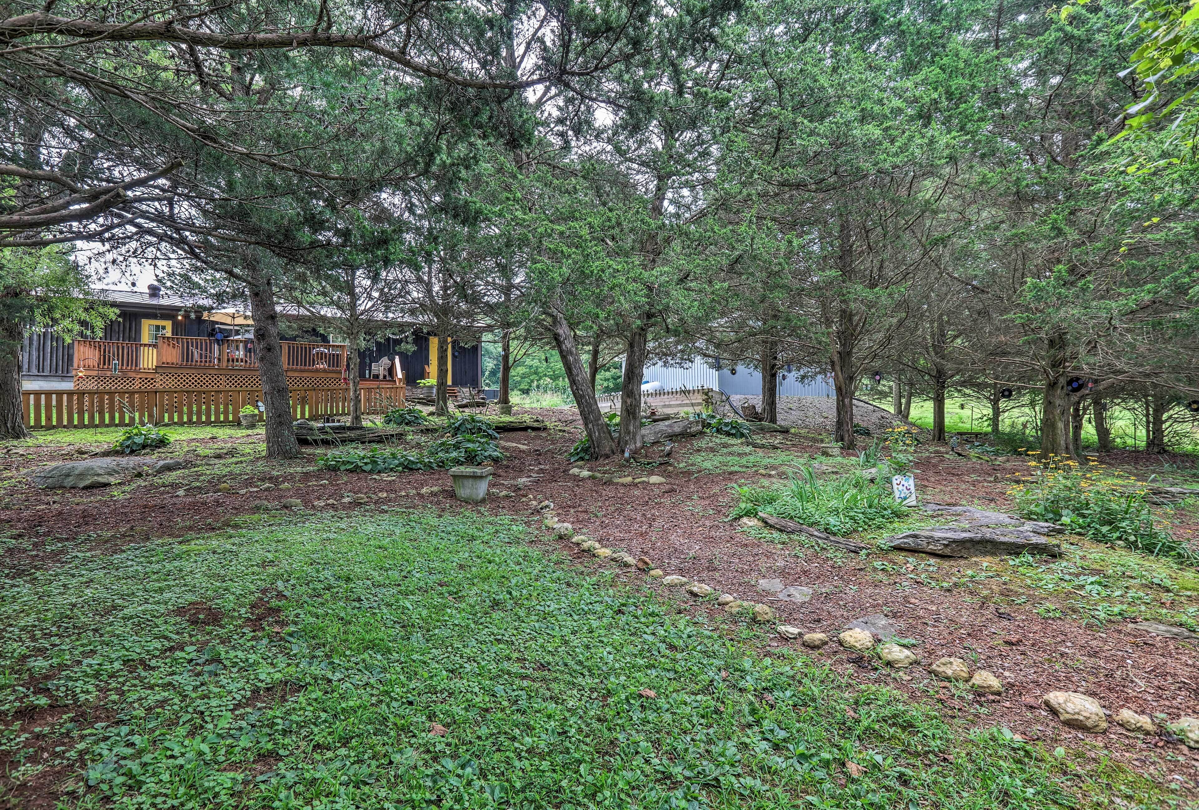A wooded area with a wooden deck, a small building, and a pond.
