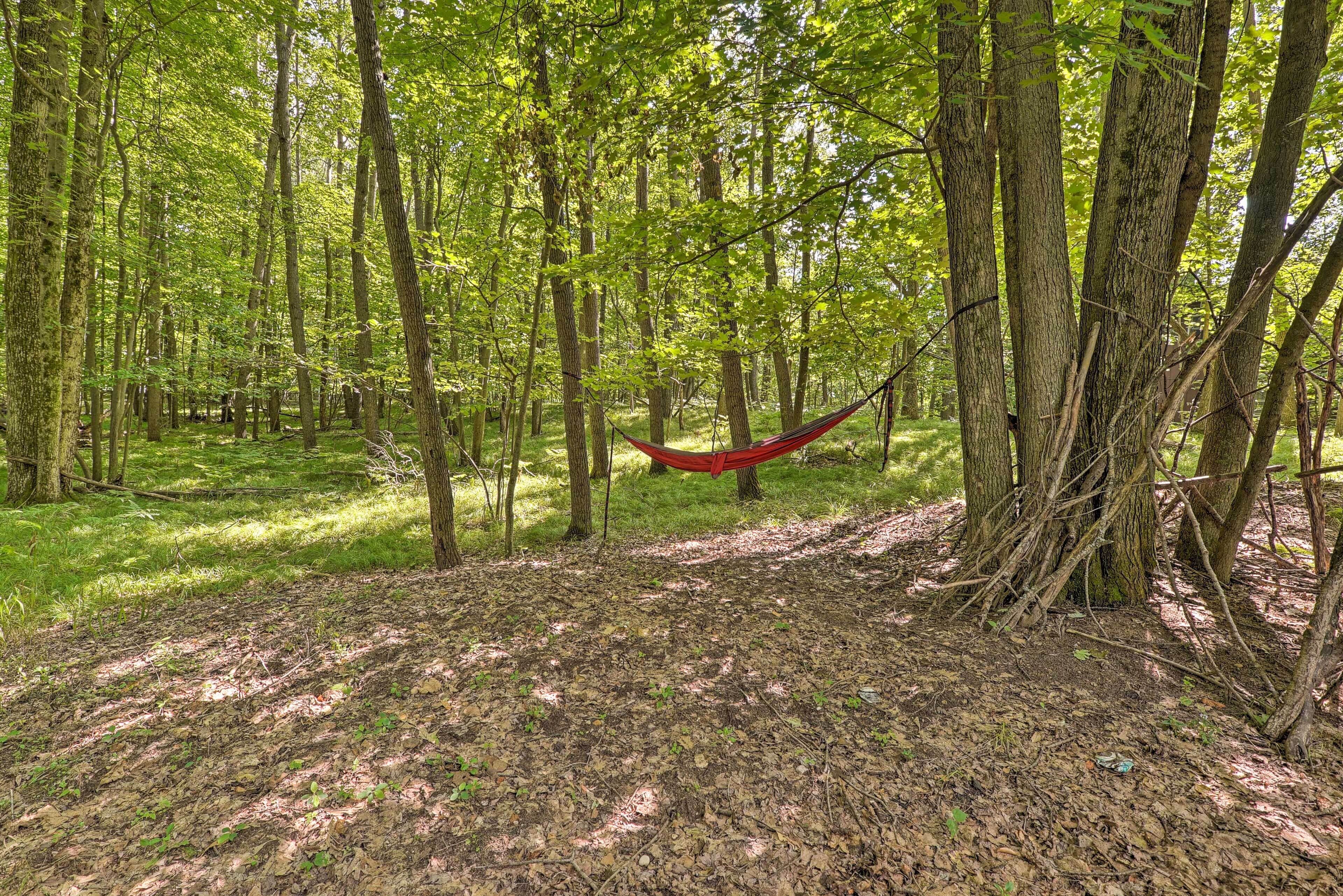 A forest with a red hammock tied between trees.