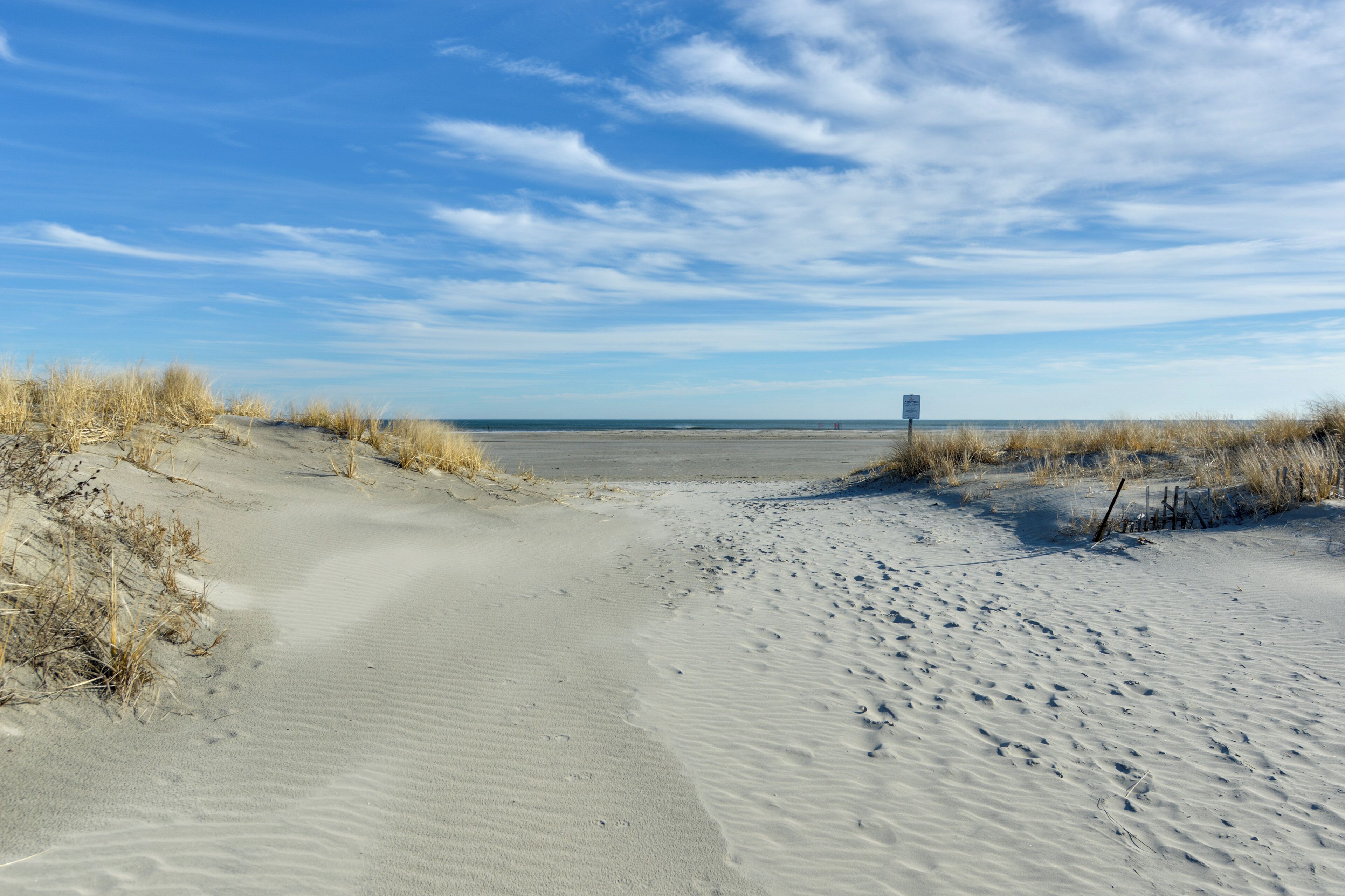 A sandy beach with sparse vegetation and a clear sky.