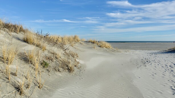 A sandy beach with dunes and sparse vegetation. - Updated Oceanside Condo - 5 Miles to Cape May! (Wildwood Crest)