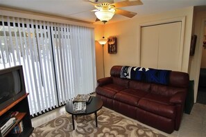 TV, fireplace, DVD player - South Londonderry Home, Walk to Magic Mtn Ski Area (Londonderry)