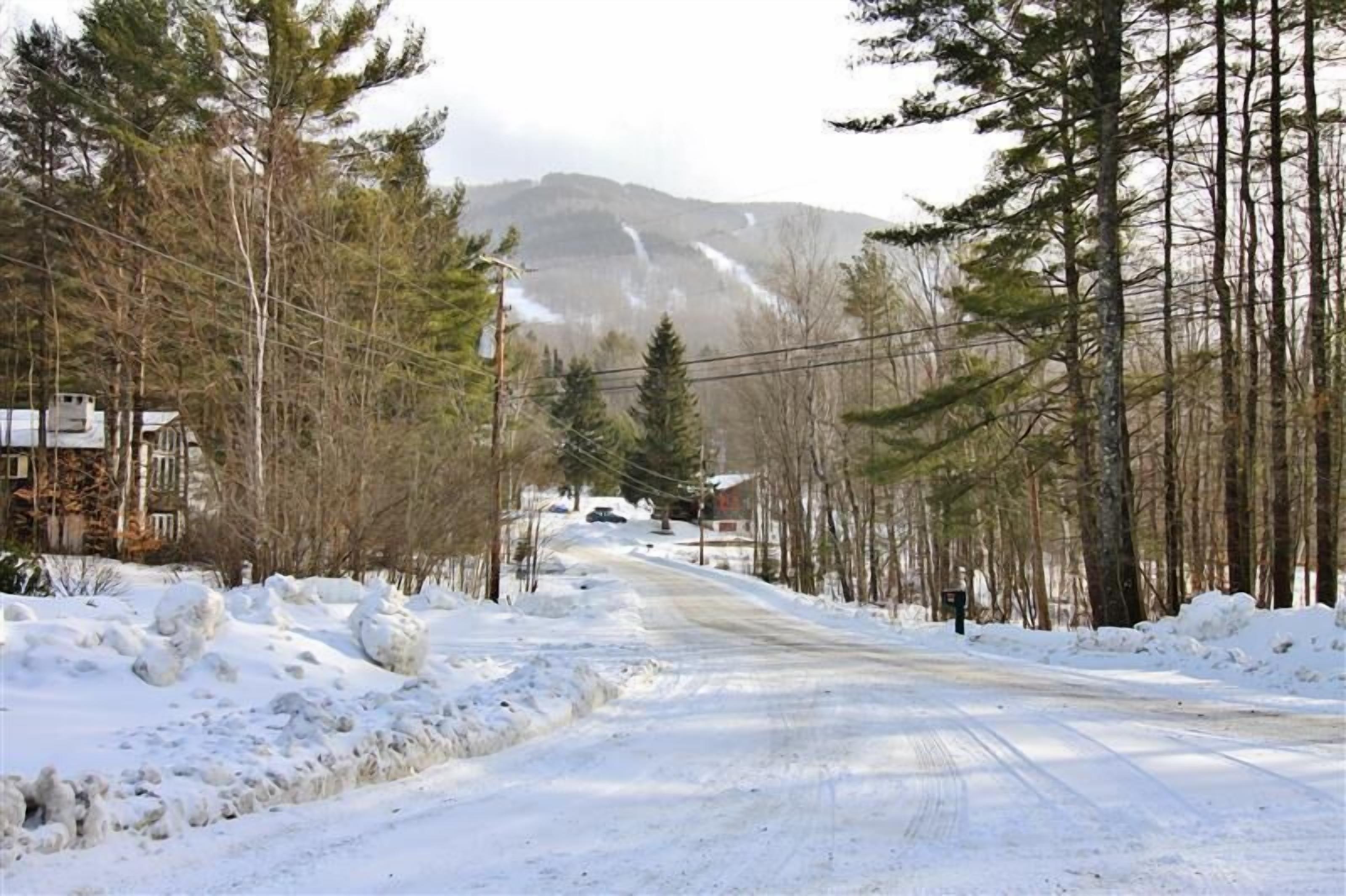 A snow-covered road flanked by trees and buildings, leading towards a mountain.