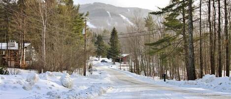 A snow-covered road flanked by trees and buildings, leading towards a mountain.