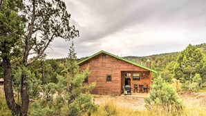 A wooden cabin with a green roof, surrounded by trees and grass. - Ruidoso Home w/ Deck & Grill, Near Grindstone Lake (Ruidoso)