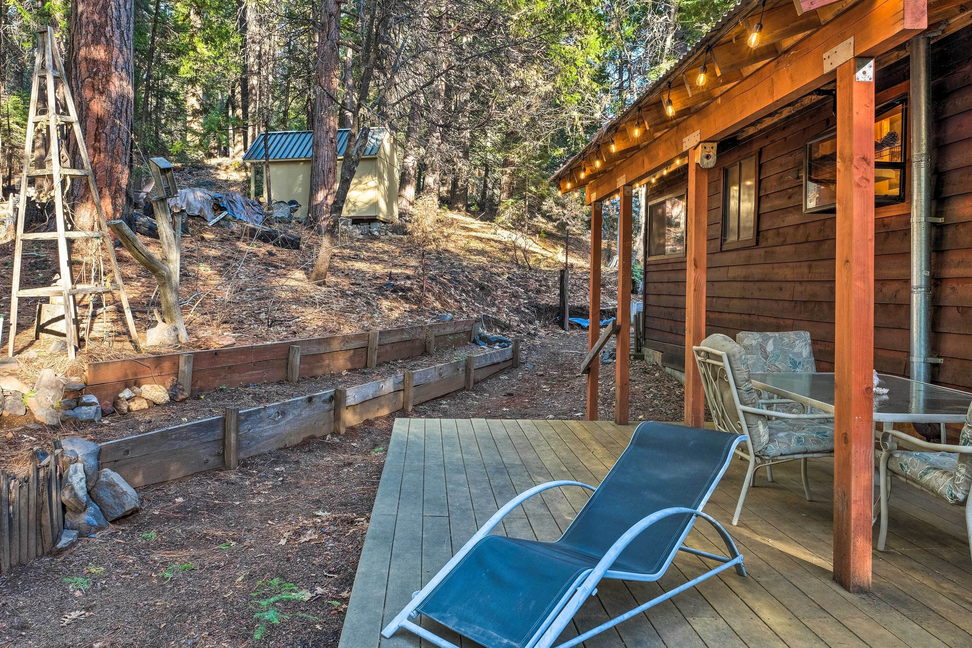 Cabin w/ Fire Pit: Minutes to Vineyards & Hiking!