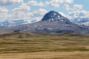 House (1 Bedroom) | Interior - Pano Views! Custom Cabin on Rocky Mountain Front (Augusta)