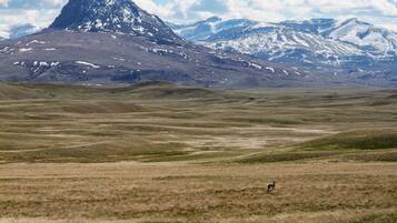 ุงูู
ูุดุฃุฉ ู
ู ุงูุฏุงุฎู